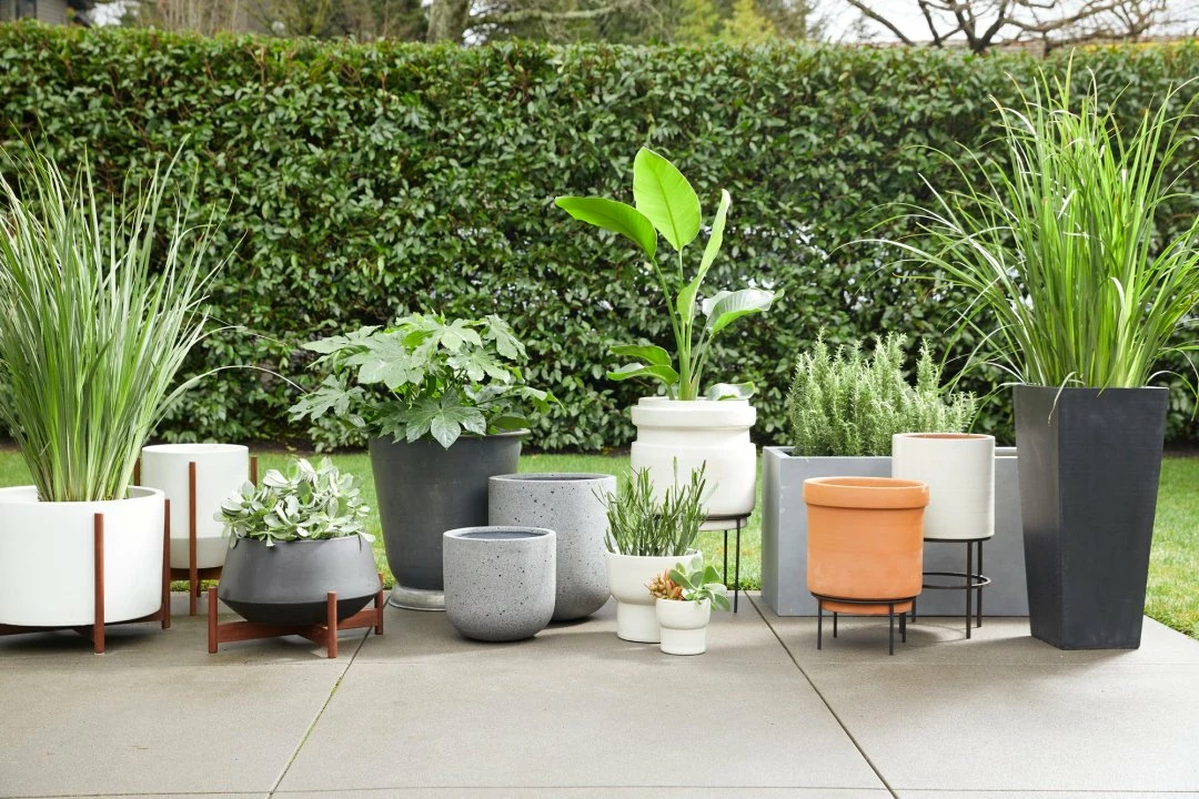 Outdoor PLANTERS Shop 3 Outdoor PLANTERS Shop -Outdoor PLANTERS Shop 3676