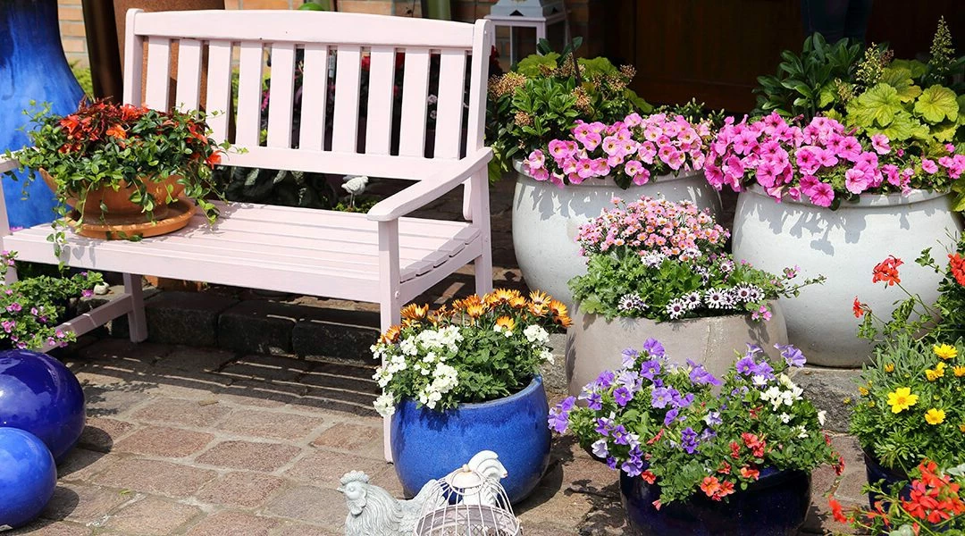 Outdoor PLANTERS Shop 1 Outdoor PLANTERS Shop -Outdoor PLANTERS Shop 3679