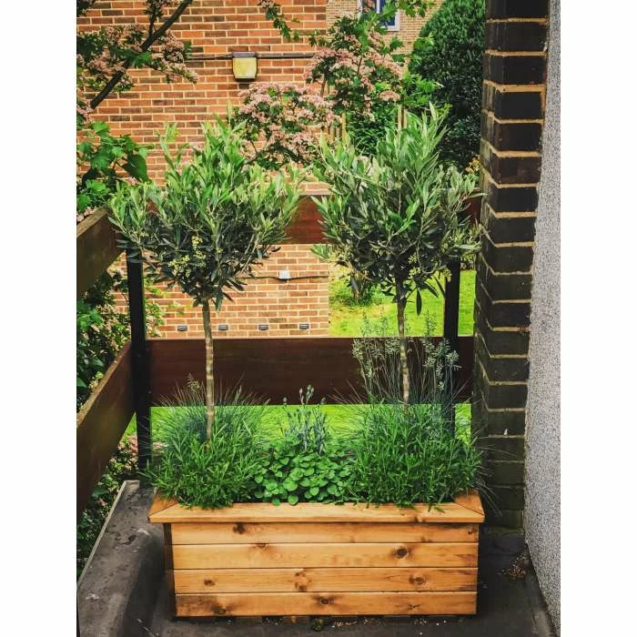 58cm Redwood Trough Planter by Charles Taylor 2 58cm Redwood Trough Planter by Charles Taylor - Image 2
