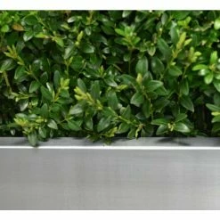 100cm Zinc Galvanised Silver Trough Planter - By Primrose™ -Outdoor PLANTERS Shop PP0003XL add image 1 7729