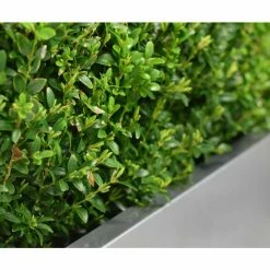 100cm Zinc Galvanised Silver Trough Planter - By Primrose™ -Outdoor PLANTERS Shop PP0003XL add image 4 94cc