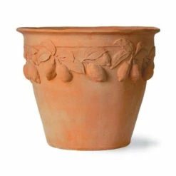 Citrus Planters - Height 60cm -