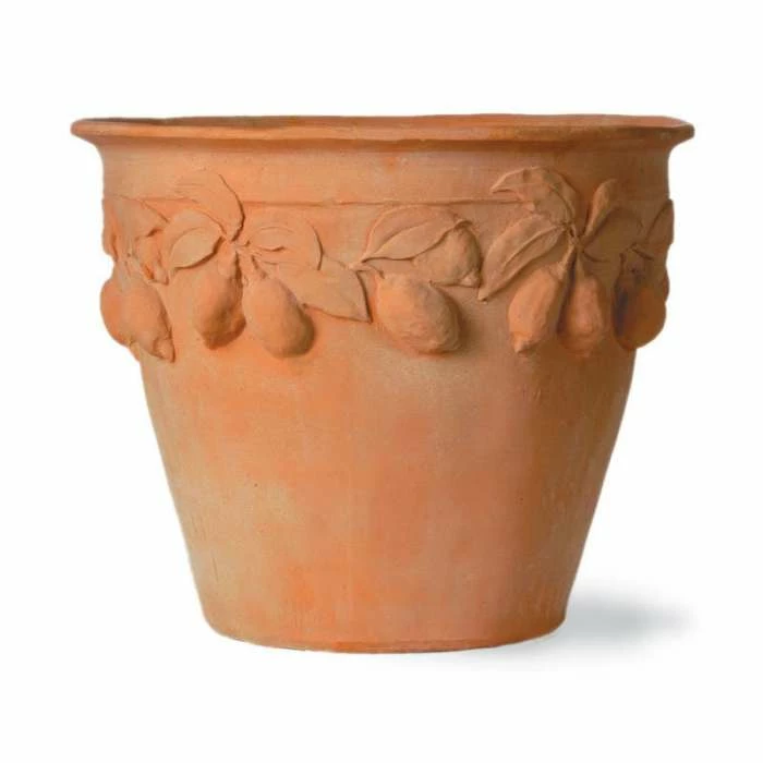 Citrus Planters - Height 60cm - 1 Citrus Planters - Height 60cm -