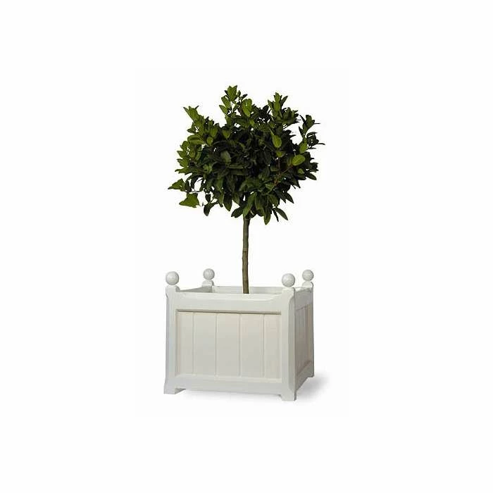 Versailles Fibreglass Planter 1 Versailles Fibreglass Planter