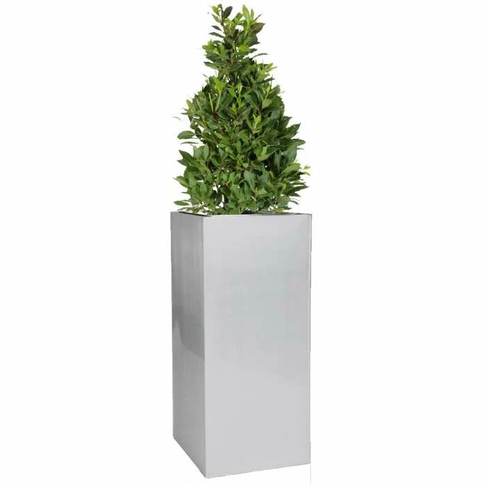 H100cm Zinc Galvanised Tall Silver Cube Planter - By Primrose™ 1 H100cm Zinc Galvanised Tall Silver Cube Planter - By Primrose™