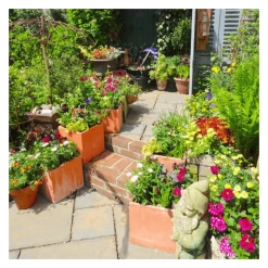 50cm Terracotta Fibrecotta XL Cube Planter -Outdoor PLANTERS Shop PP0452XL add image 5 b256