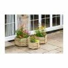 Marford Hexagonal Planter Set of 3 by Zest