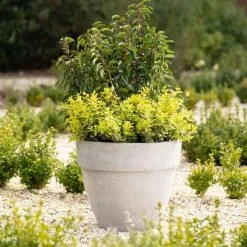 Round 44cm Handmade Fiberstone Rimmed Planter in Grey - Exclusive to Primrose