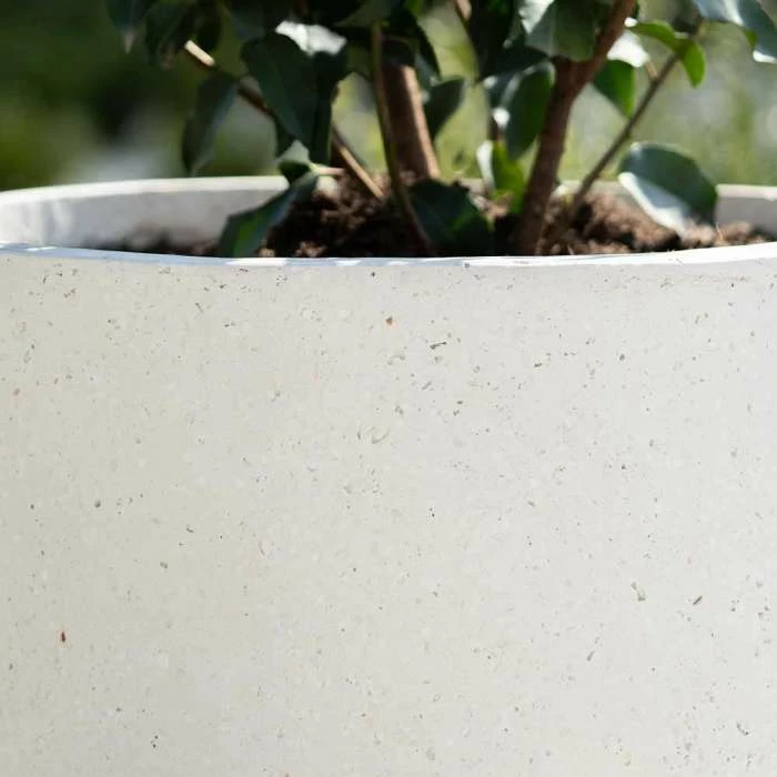 Cylinder 55cm Handmade Fiberstone Planter in White - Exclusive to Primrose 3 Cylinder 55cm Handmade Fiberstone Planter in White - Exclusive to Primrose - Image 3