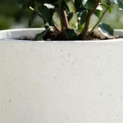Cylinder 45cm Handmade Fiberstone Planter in White - Exclusive to Primrose -Outdoor PLANTERS Shop PP22WHTM PP22WHTL 2 693c