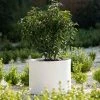 Cylinder 55cm Handmade Fiberstone Planter in White - Exclusive to Primrose