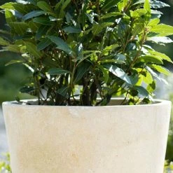 Round 60cm Handmade Fiberstone Planter in Cream - Exclusive to Primrose -Outdoor PLANTERS Shop PP23CRMS PP23CRM 2 562c