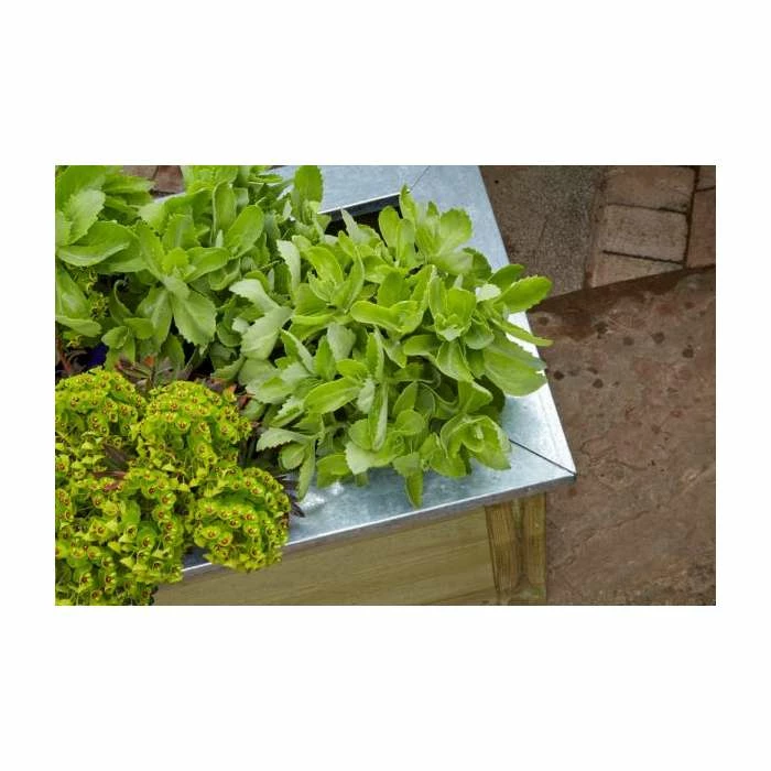 Wooden Cambridge Planter 150cm x 50cm 3 Wooden Cambridge Planter 150cm x 50cm - Image 3