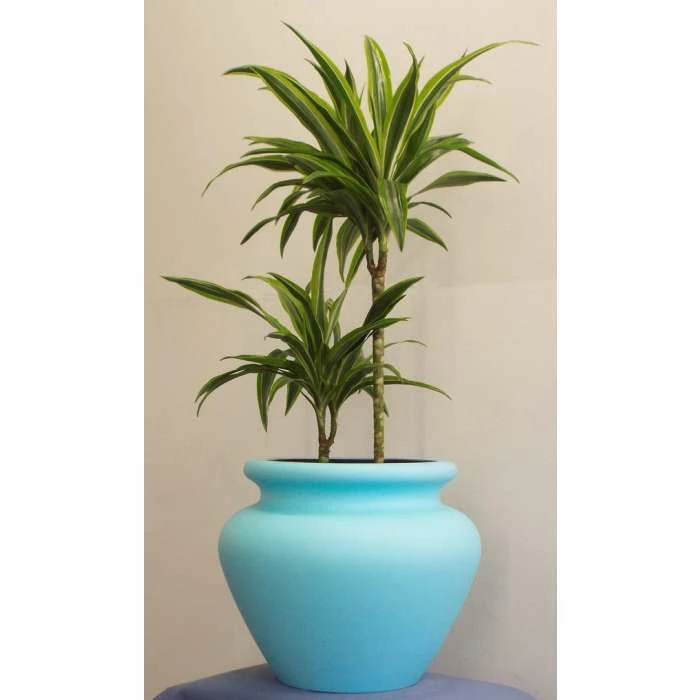 The Fibreglass Malaysian Javan Planter Range - (Small) 20cm Tall 1 The Fibreglass Malaysian Javan Planter Range - (Small) 20cm Tall