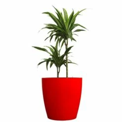 Eggpot Fibreglass Planters - (Small) 40cm Tall