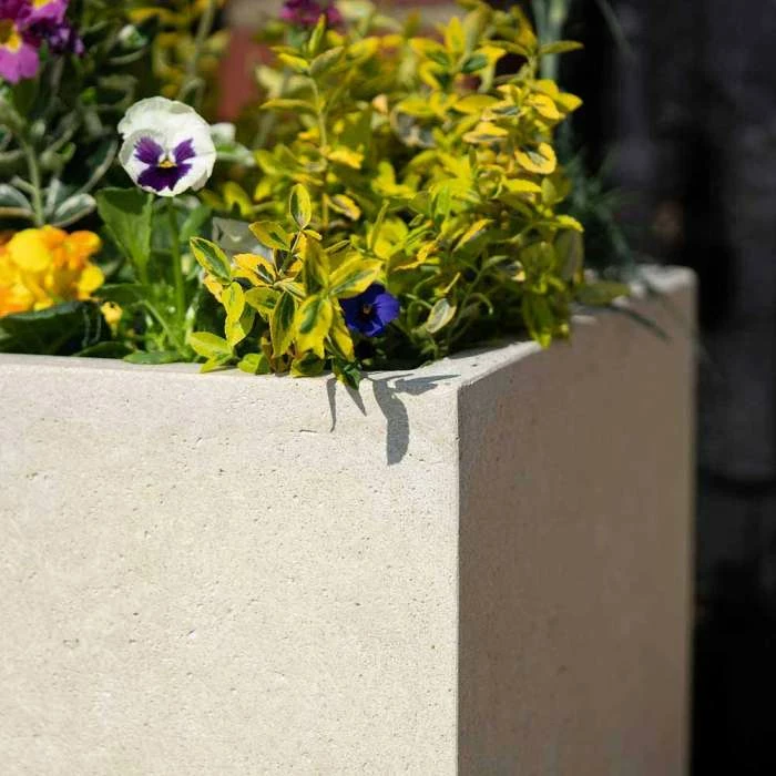 Cube 50cm Handmade Fiberstone Planter in Cream - Exclusive to Primrose 2 Cube 50cm Handmade Fiberstone Planter in Cream - Exclusive to Primrose - Image 2
