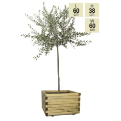50cm Medium Wooden Pine Raised Cube Planter -Outdoor PLANTERS Shop PP3422 main image.png bb9a