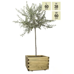 60cm Large Wooden Pine Raised Cube Planter -Outdoor PLANTERS Shop PP3423 main image 36f8