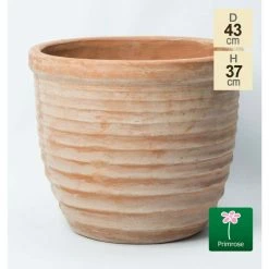 Outdoor PLANTERS Shop 21 D43cm Terracotta Egg Planter