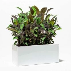 100cm Trough Zinc White Gloss Dipped Galvanised Planter -Outdoor PLANTERS Shop PP40756 add image 4 2e23