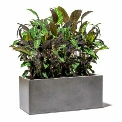 75cm Trough Zinc Silver & Black Textured Dipped Galvanised Planter 8 75cm Trough Zinc Silver & Black Textured Dipped Galvanised Planter -Outdoor PLANTERS Shop PP40760 add image 4 32b1
