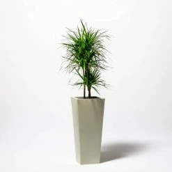 90cm Flared Square Zinc Ivory Textured Dipped Galvanised Planter 8 90cm Flared Square Zinc Ivory Textured Dipped Galvanised Planter -Outdoor PLANTERS Shop PP40770 add image 4 e661