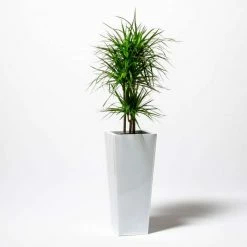 90cm Flared Square Zinc White Gloss Dipped Galvanised Plante -Outdoor PLANTERS Shop PP40771 add image 4 9732
