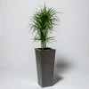 70cm Flared Square Zinc Silver & Black Textured Dipped Galvanised Planter