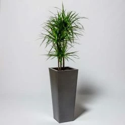 70cm Flared Square Zinc Silver & Black Textured Dipped Galvanised Planter