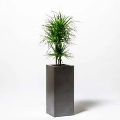 75cm Tall Cube Zinc Silver & Black Textured Dipped Galvanised Planter 7 75cm Tall Cube Zinc Silver & Black Textured Dipped Galvanised Planter -Outdoor PLANTERS Shop PP40781 add image 4 f160