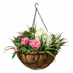 2x 16" Hanging Basket Kit With Miracle-Gro® Enriched Compost -Outdoor PLANTERS Shop PP40848KIT add image 4 6290