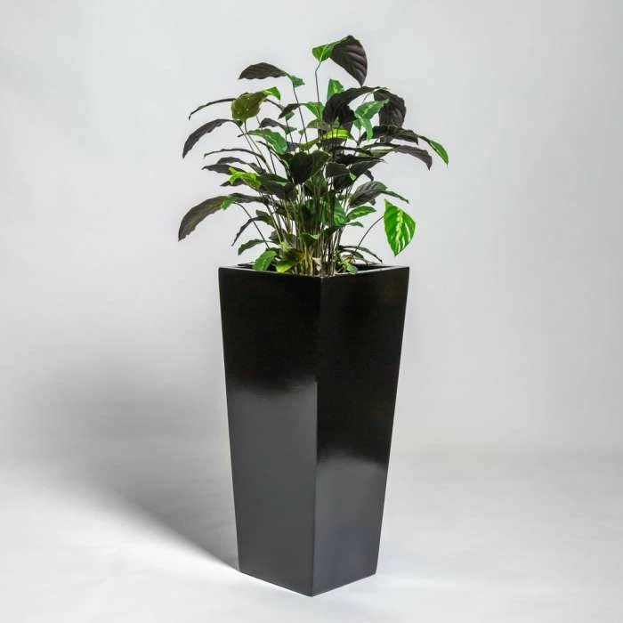 90cm Black Gloss Polystone Tall Flared Planter 1 90cm Black Gloss Polystone Tall Flared Planter