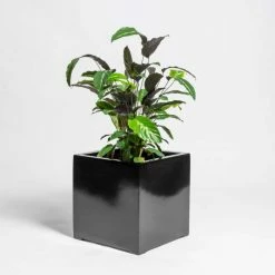 60cm Black Gloss Polystone Cube Planter