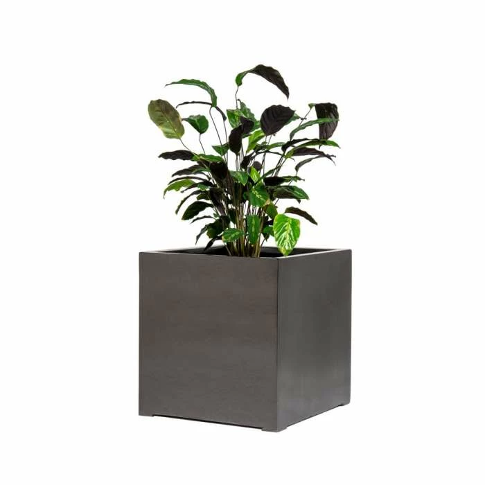 50cm Metallic Grey Polystone Cube Planter 3 50cm Metallic Grey Polystone Cube Planter - Image 3