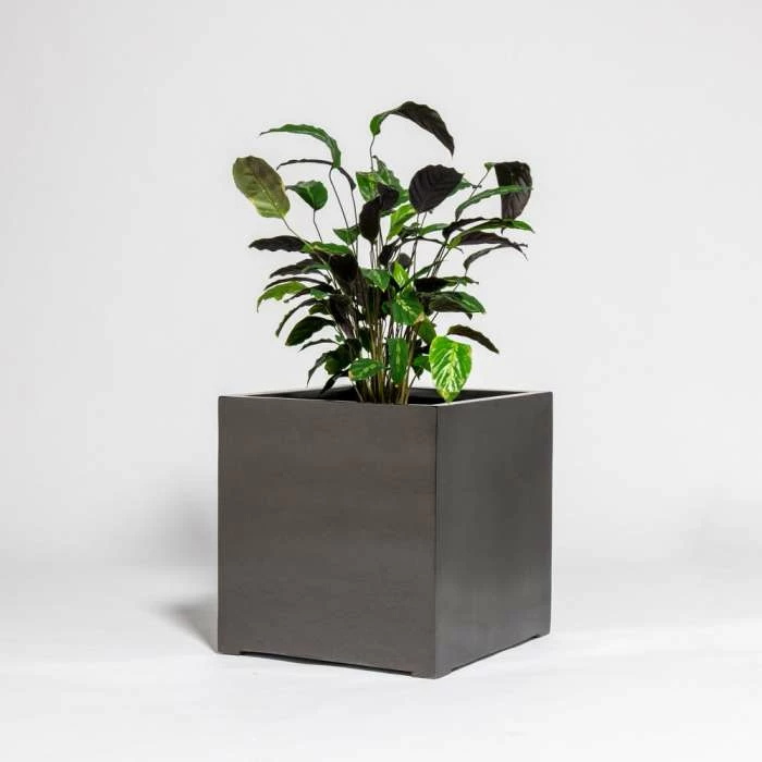 50cm Metallic Grey Polystone Cube Planter 1 50cm Metallic Grey Polystone Cube Planter