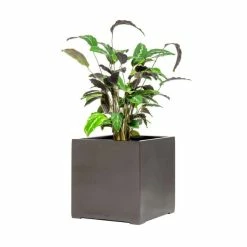 40cm Metallic Grey Polystone Cube Planter 8 40cm Metallic Grey Polystone Cube Planter -Outdoor PLANTERS Shop PP40907 add image 2 2721