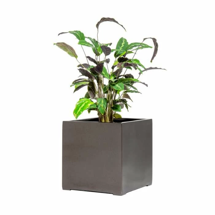 40cm Metallic Grey Polystone Cube Planter 4 40cm Metallic Grey Polystone Cube Planter - Image 4