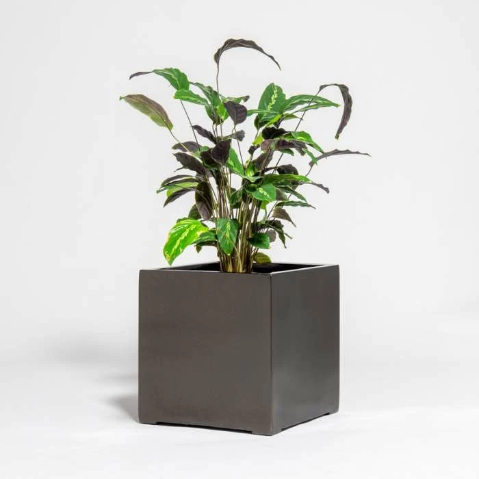 40cm Metallic Grey Polystone Cube Planter 1 40cm Metallic Grey Polystone Cube Planter