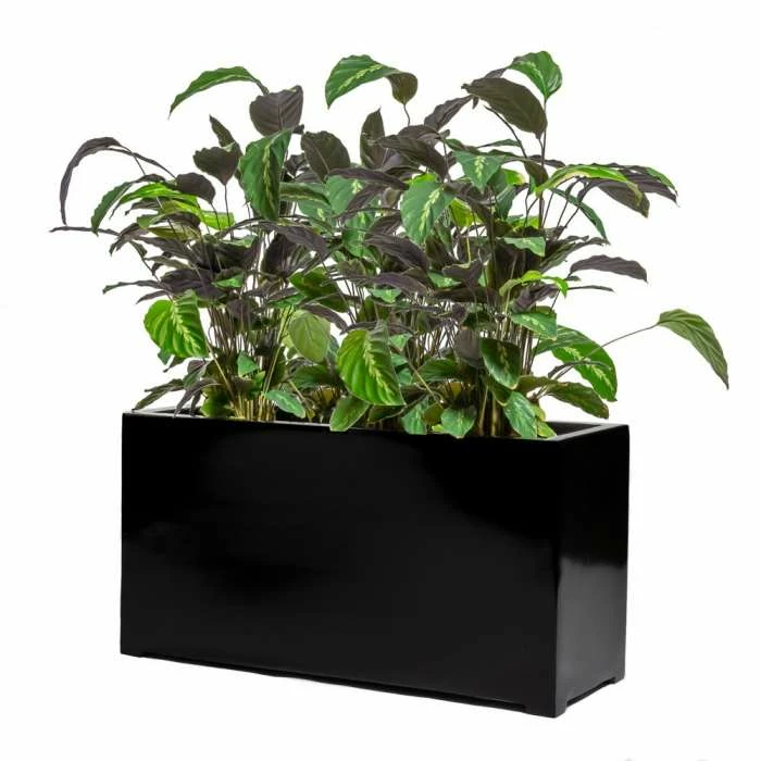 80cm Black Gloss Polystone Trough Planter 1 80cm Black Gloss Polystone Trough Planter