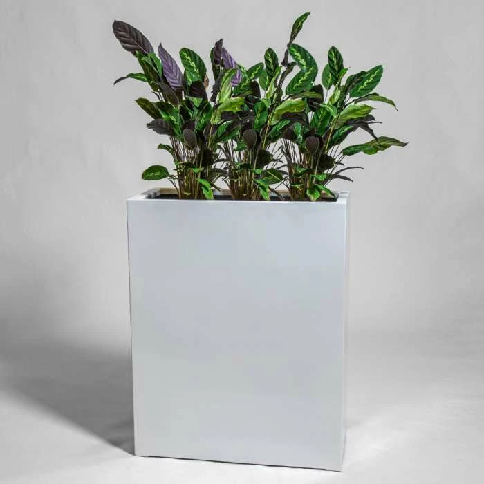 100cm White Gloss Polystone High Trough Planter 1 100cm White Gloss Polystone High Trough Planter
