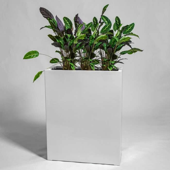 80cm White Gloss Polystone High Trough Planter 3 80cm White Gloss Polystone High Trough Planter - Image 3