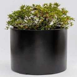H50cm Large Stone Composite Low Cylinder Planter in Black -Outdoor PLANTERS Shop PP5022BL add image 2 75f3