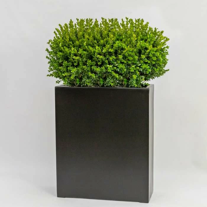 H72cm Large Polystone Tall Trough Planter in Black 1 H72cm Large Polystone Tall Trough Planter in Black