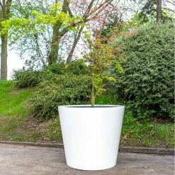 H73cm Large Classic Stone Composite Planter in White 5 H73cm Large Classic Stone Composite Planter in White -Outdoor PLANTERS Shop PP5024WL add image 2 9415