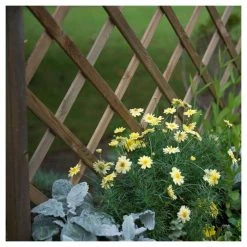 6ft Wooden Venice Trough and Trellis Planter -Outdoor PLANTERS Shop PP6091 add image 2 3c51