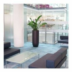 H60cm Fibreglass Tall Bullet Planter in Matt Finish 5 H60cm Fibreglass Tall Bullet Planter in Matt Finish -Outdoor PLANTERS Shop PP643B add image 2 0d12