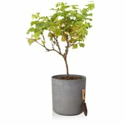 H43cm Volcanic Grey Cylinder Planter - By Primrose™ -Outdoor PLANTERS Shop PP7784 add image 3 b018
