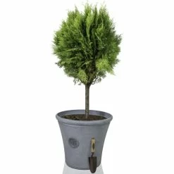 H50cm Continental Grey Round Tuscan Planter - By Primrose™ -Outdoor PLANTERS Shop PP7790 add image 2 2acb