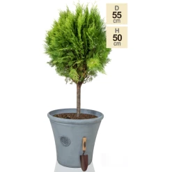 H50cm Continental Grey Round Tuscan Planter - By Primrose™ -Outdoor PLANTERS Shop PP7790 main image 54ed