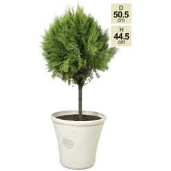 H44.5cm Smokey Cream Round Tuscan Planter - By Primrose™ -Outdoor PLANTERS Shop PP7793 main image b16c